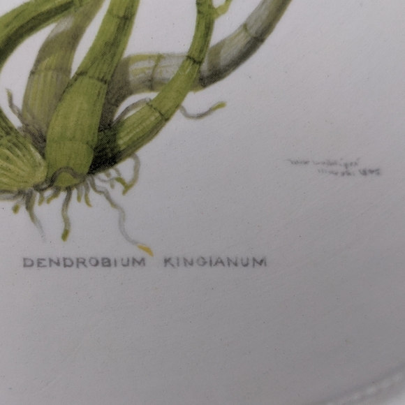 Victoria & Albert Museum Dendrobium Kingianum Pink Floral Pierced Rim Plate - Picture 4 of 8